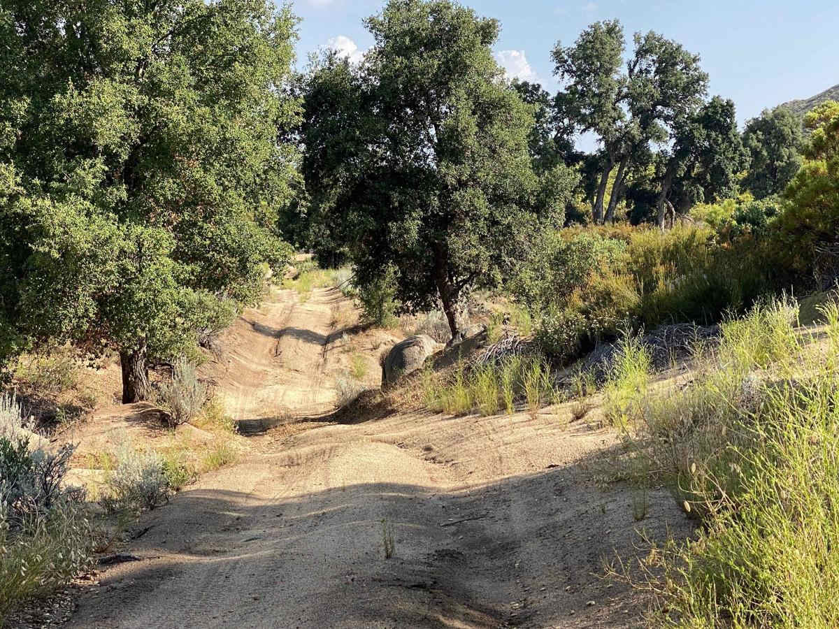 Cut-Off to Original Camino a La Laguna Hanson photo 3