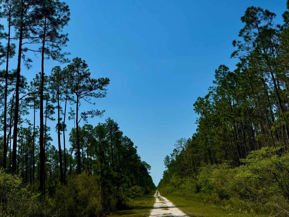 Oil Well Road - SFR 29 photo 2