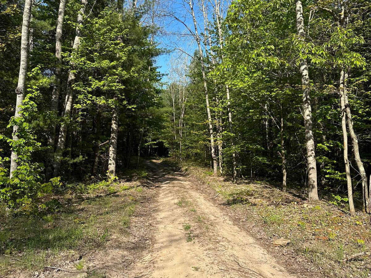 Wallin Road trail photo