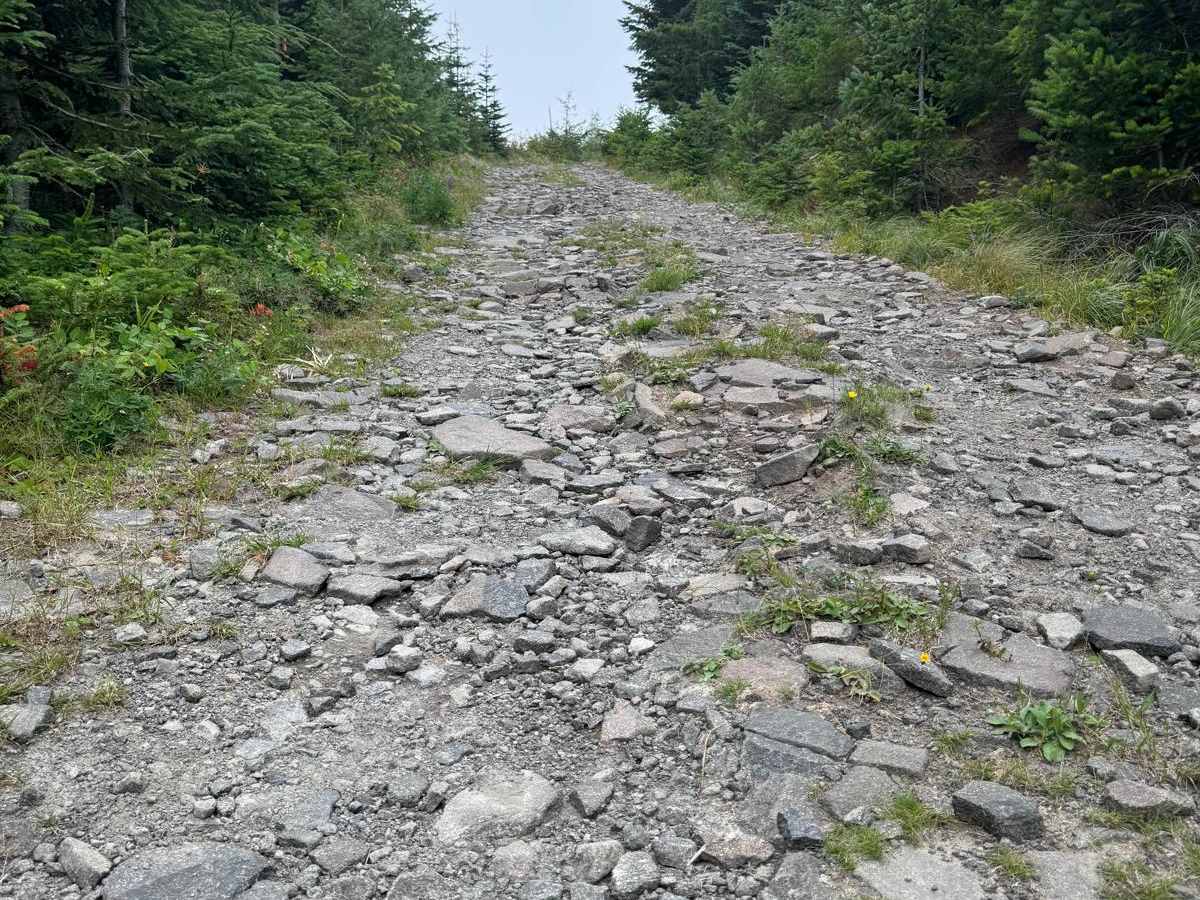 Three Corner Rock photo 6