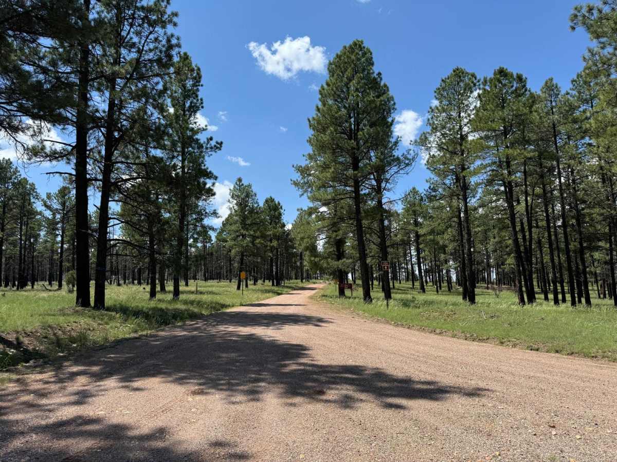 Silver Monument trail photo