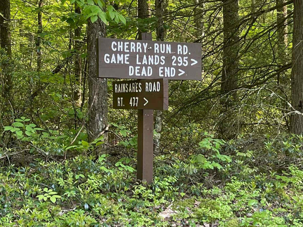 Cherry Run Road trail photo