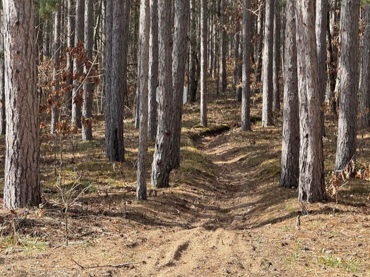 MCCCT - Lincoln Hills to Caberfae Spur photo 5
