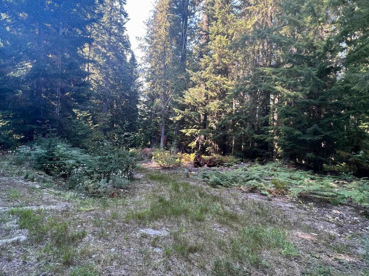 Labyrinth Mountain photo 6