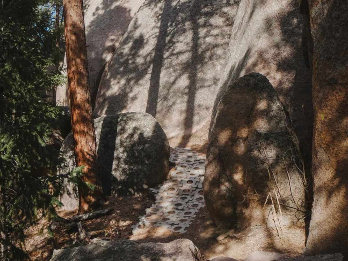 770 Turtle Mountain Trail (Part 1) photo 6