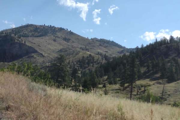 Magpie Gulch