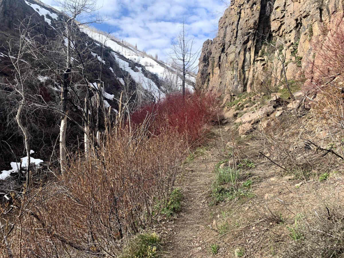 Wahlstrom Hollow Trail photo 5