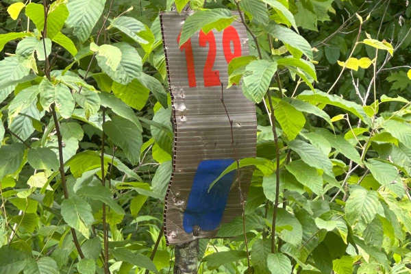 129