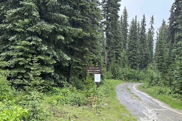 Powder Lake Road to Mayson Lake Horse Camp