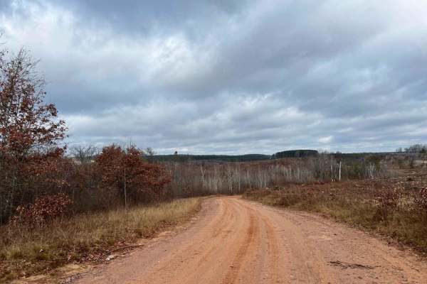 Florence County F16/6 Barrens Natural Area Trail