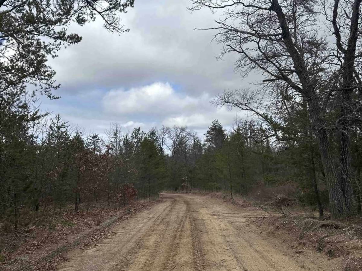 FS 4548 trail photo