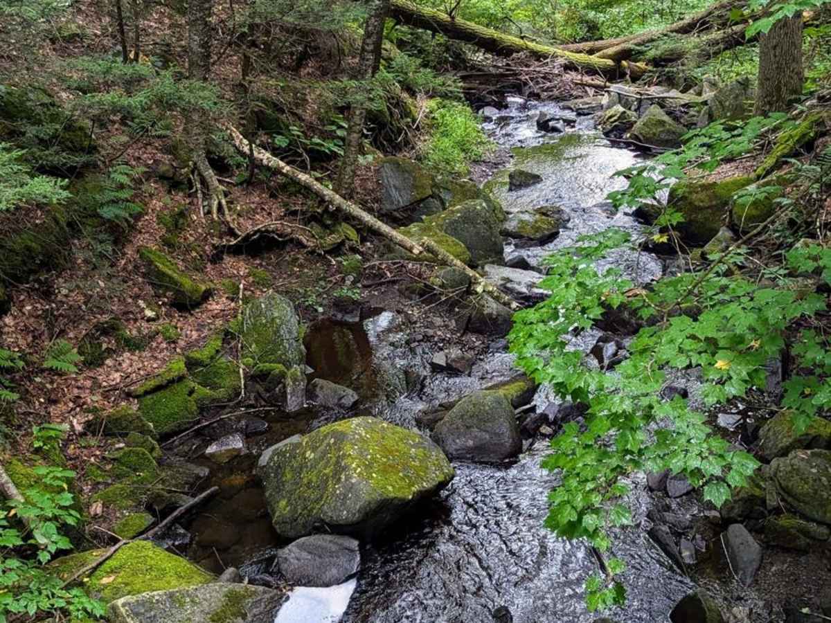 Middle Road trail photo