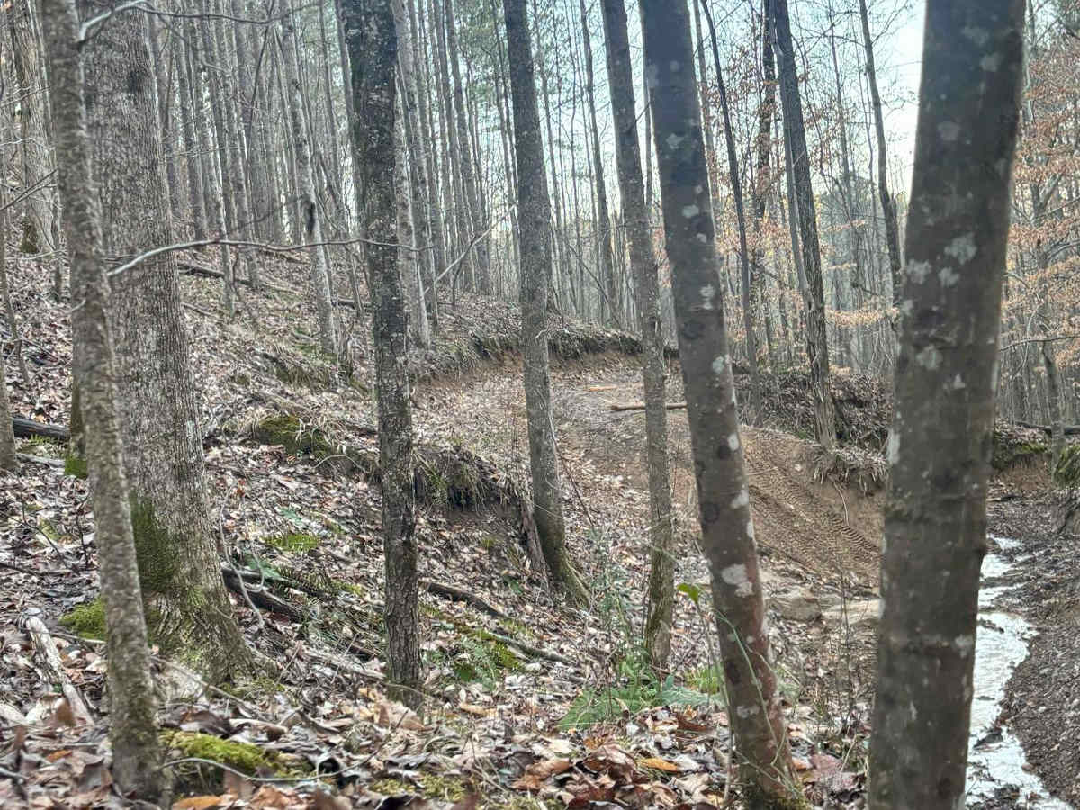 Briar Creek photo 5