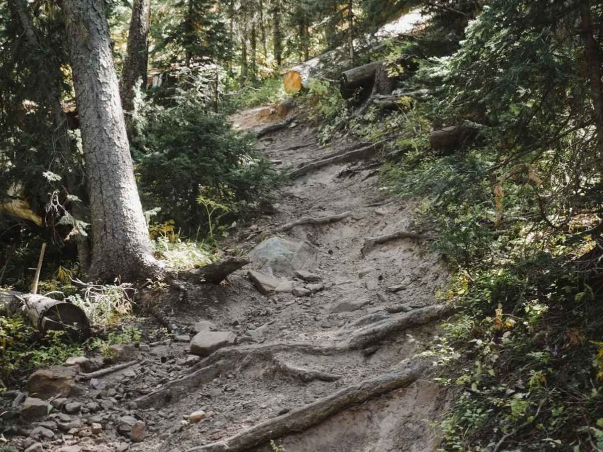 Grays Creek Trail photo 2