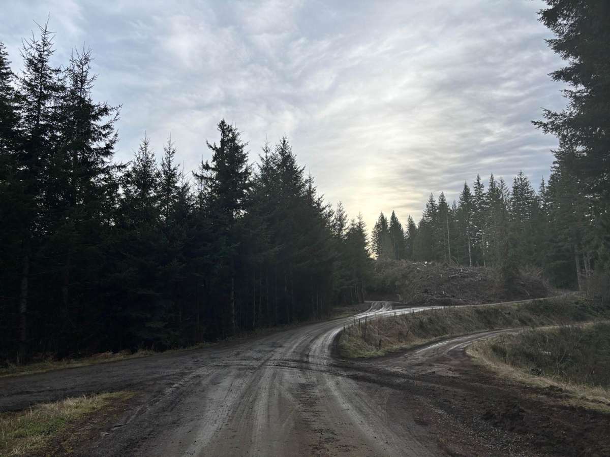 McGregor Road photo 3