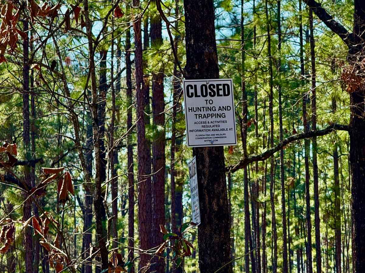 S151 trail photo