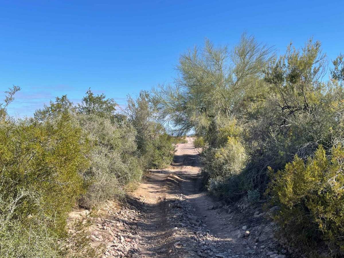 AZ Peace Trail Red Raven to Chicken Foot photo 6
