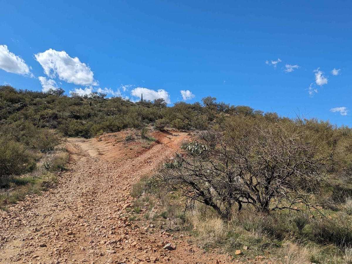 Black Canyon Creek photo 4