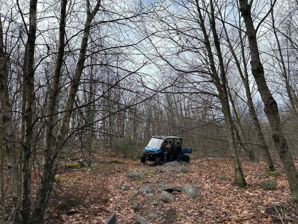 Locust Gap 74 photo 3