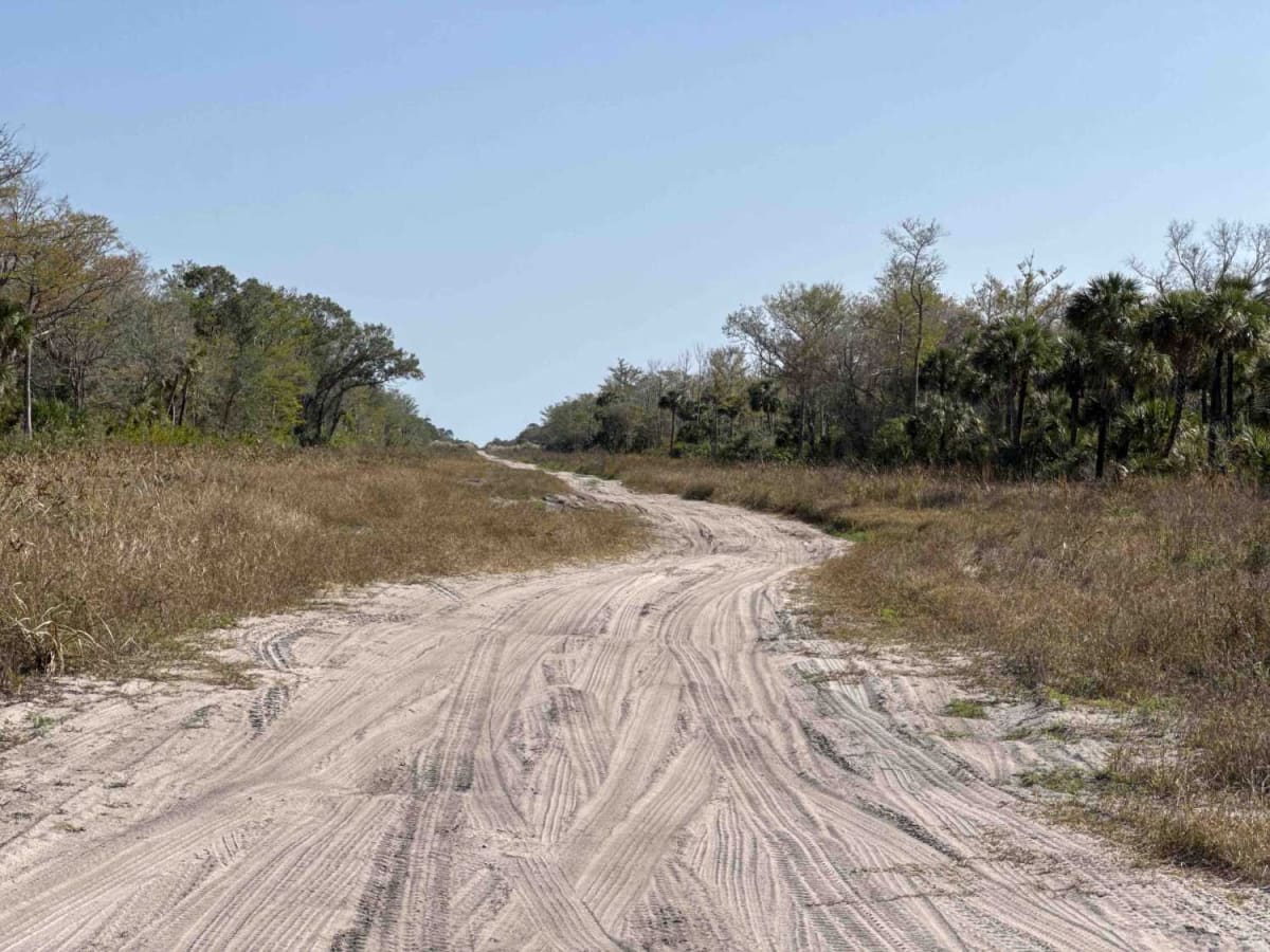 Miller Boulevard photo 5