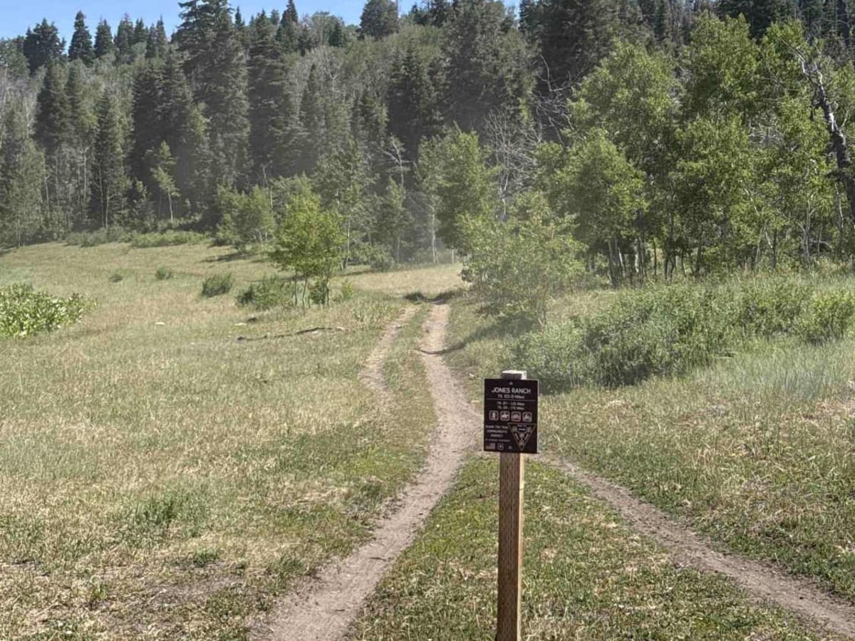 Jones Ranch North - FS 8123 trail photo