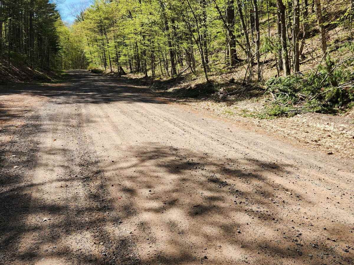 Bayfield Timber Trail photo 3