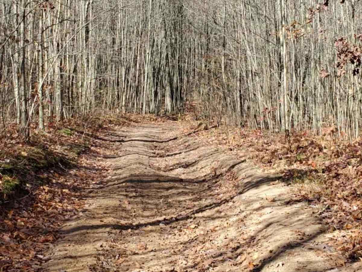 Trail 5321 photo 6