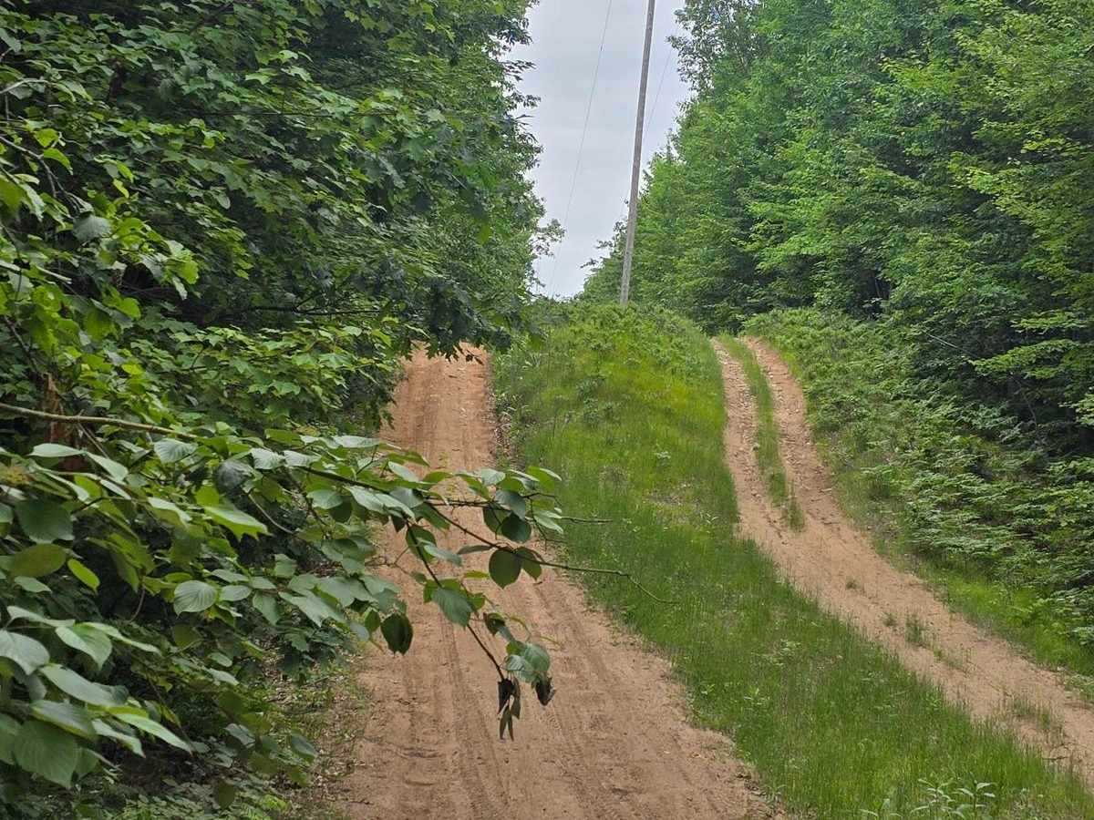 Lentz Trail photo 3