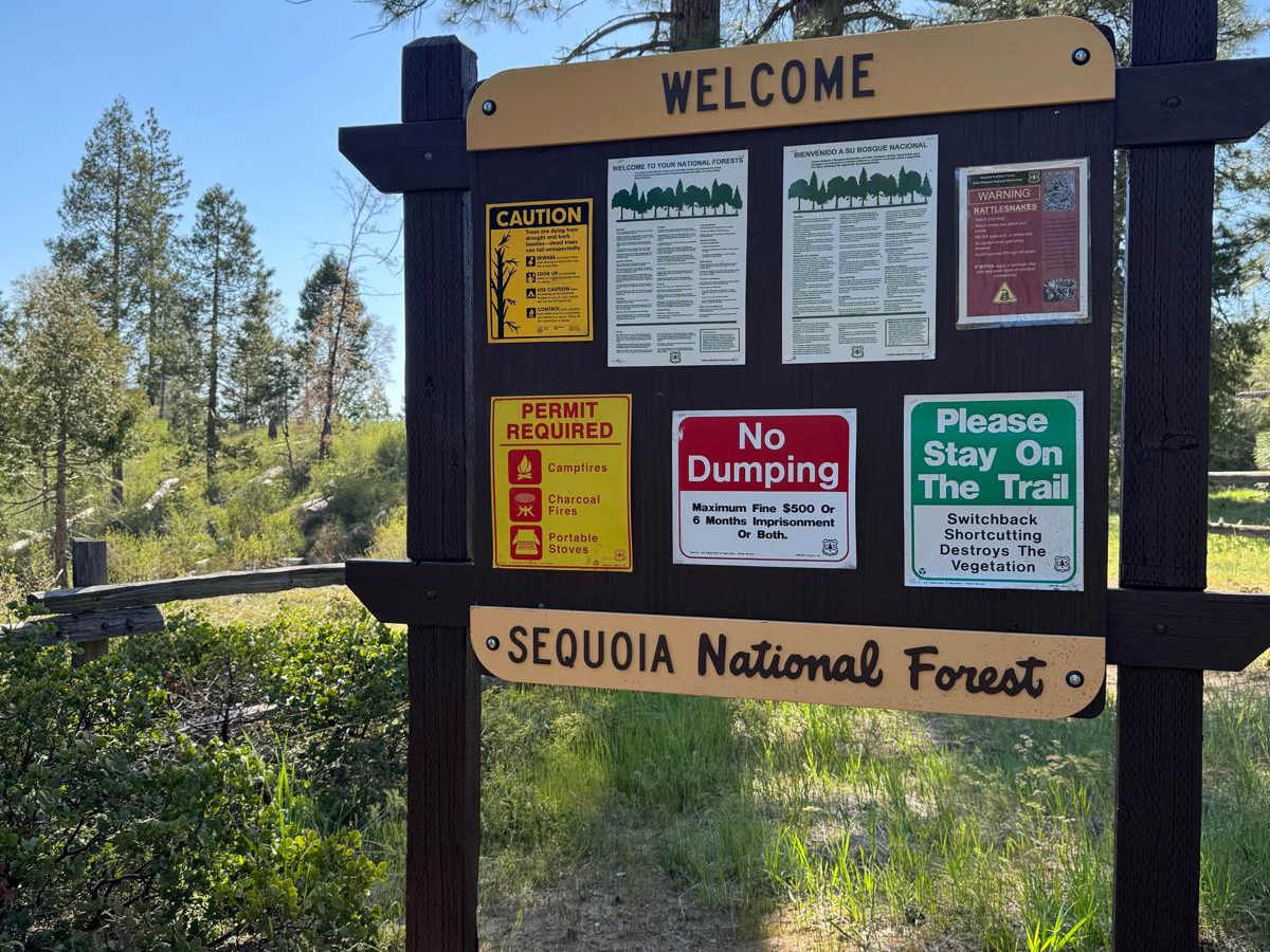 Boole Tree Trailhead photo 6