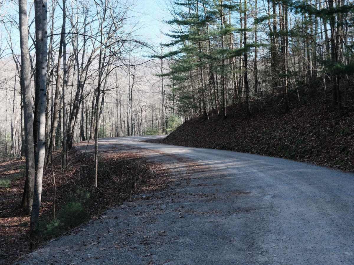 Shady Mountain Road trail photo