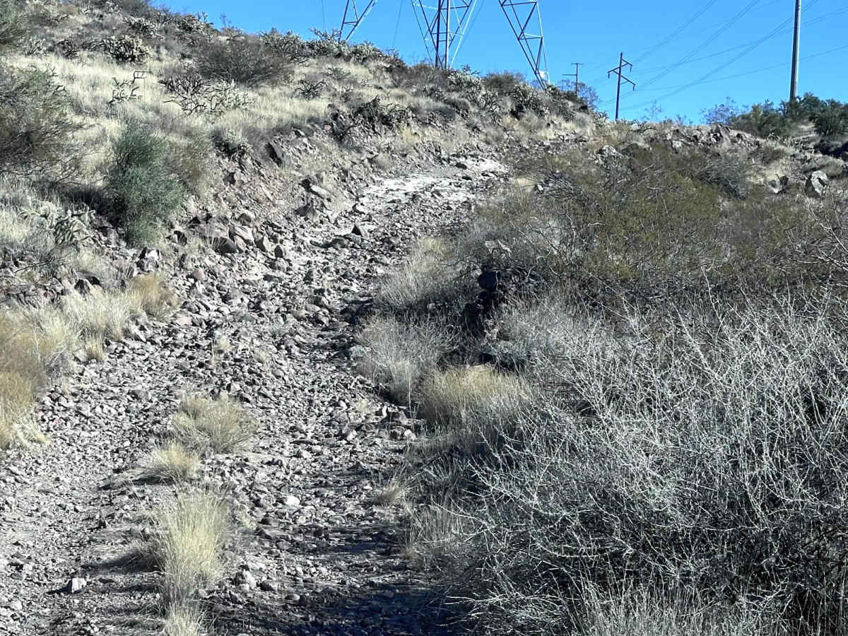 Angry Duck Trail photo 3