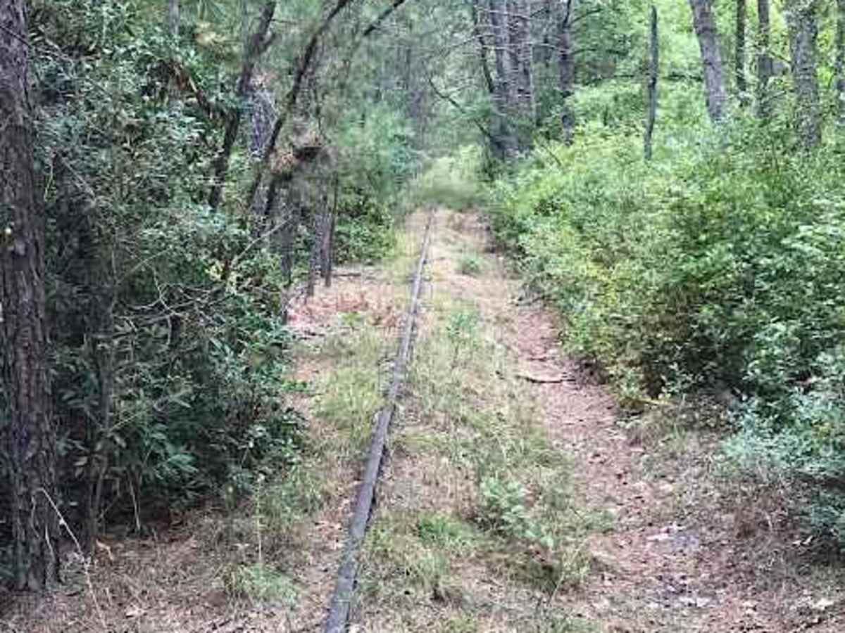 Stokes Trail photo 3