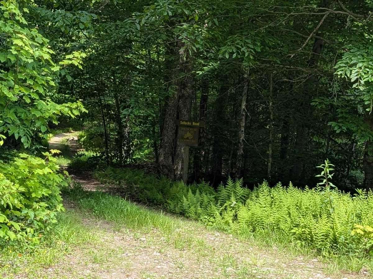 Sellecks Road Loop trail photo