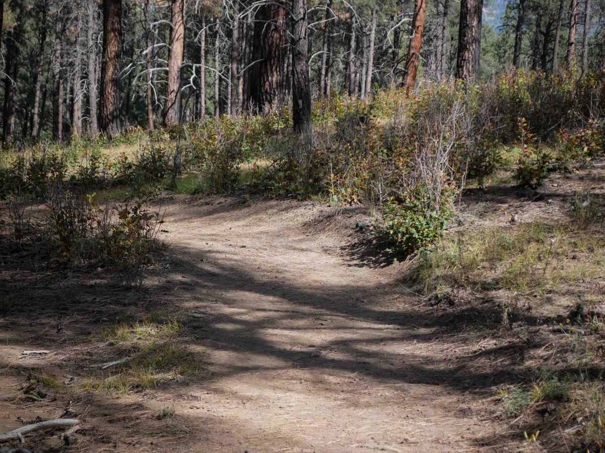Skimmer Trail photo 3