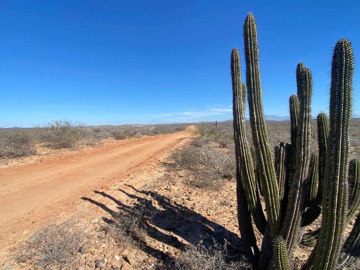 New Road Meliton trail photo