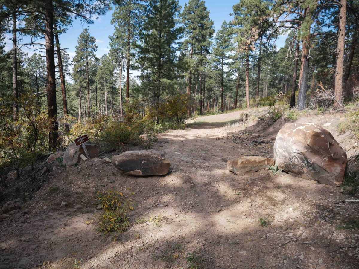 Arbogas trail photo