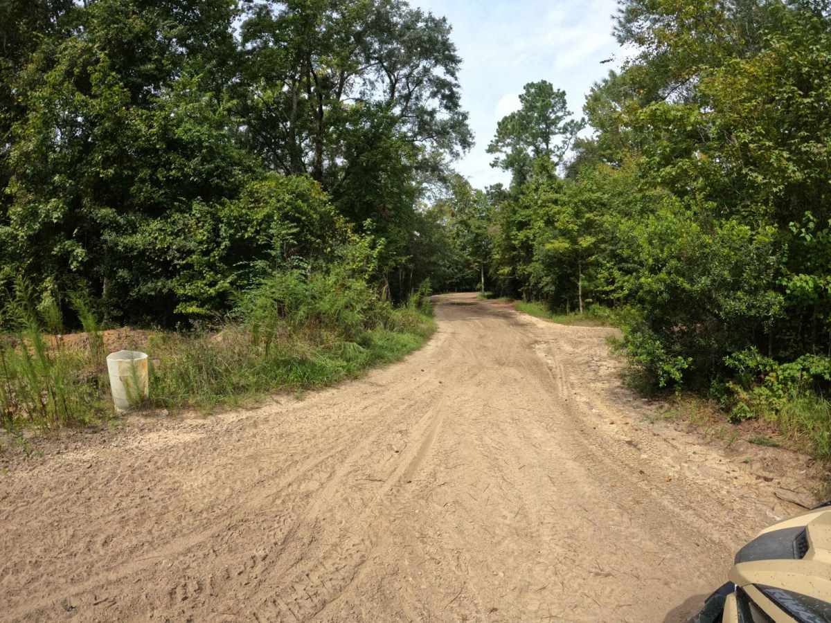 Blackdog's Boulevard trail photo