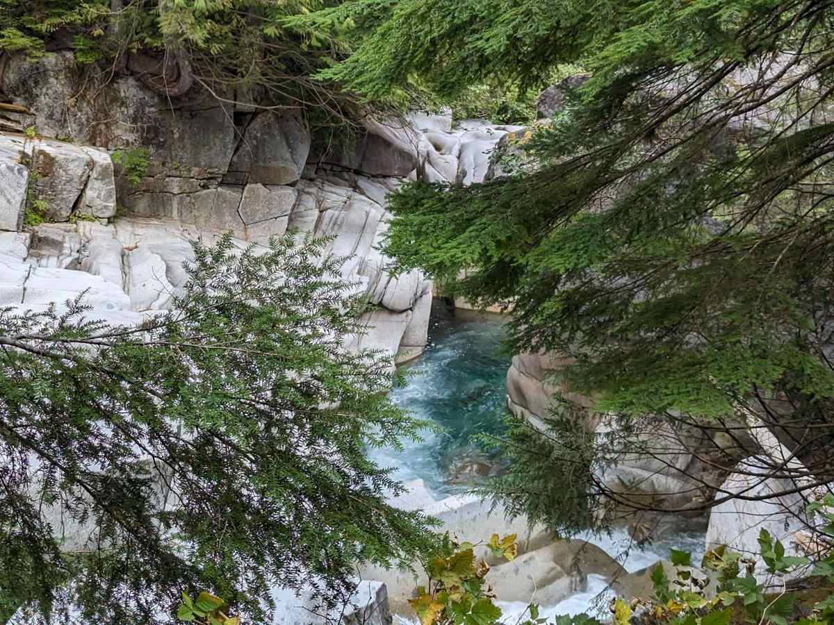 Squamish Indian Arm FSR photo 6