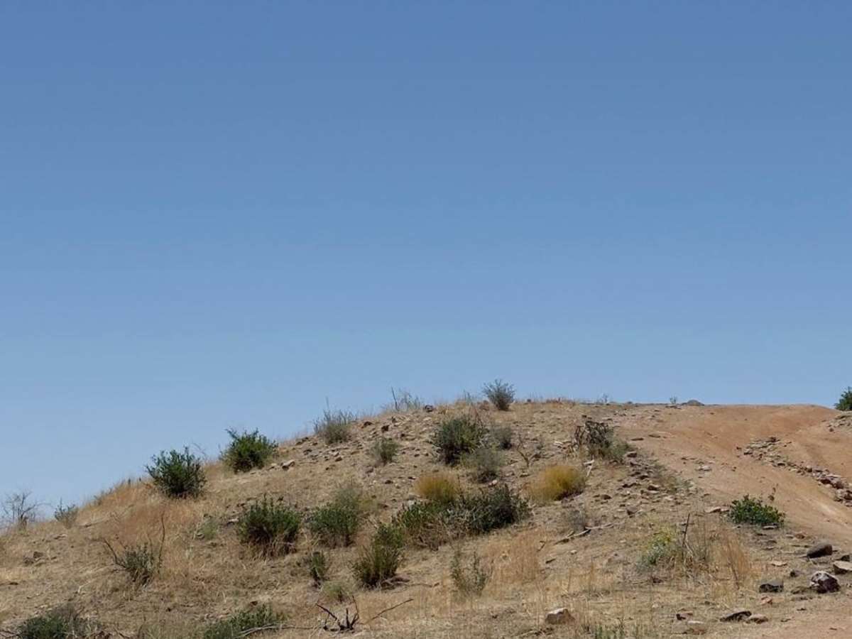 Beeline Bypass photo 2