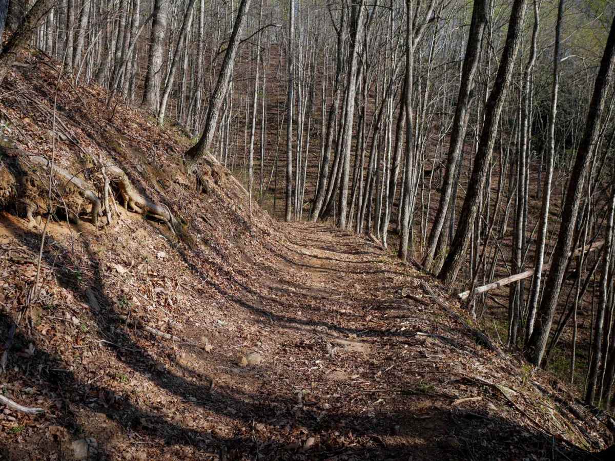 Sunset Connector Trail 9 (One-Way) photo 6