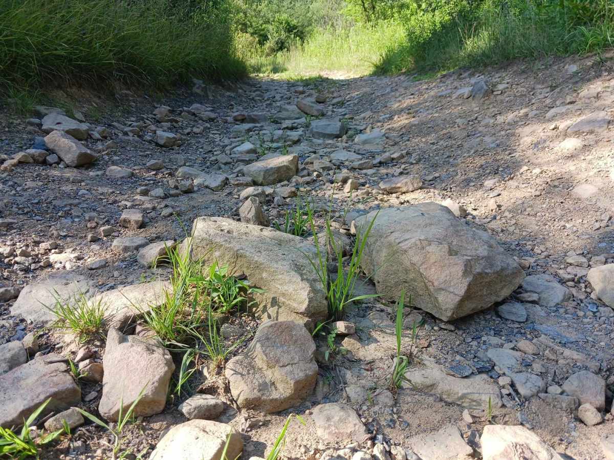 Trail 12R - Rock Run Recreation Area photo 4