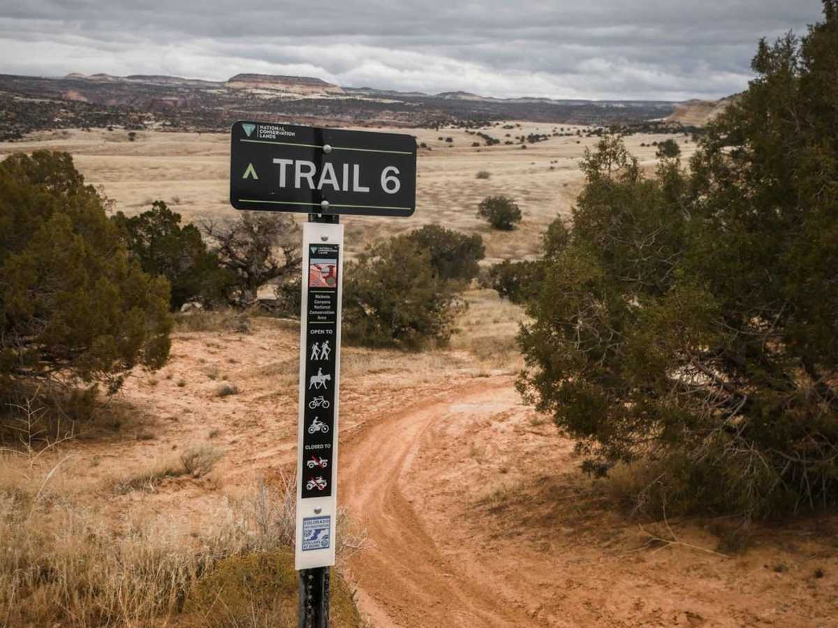 Trail 6 photo 2