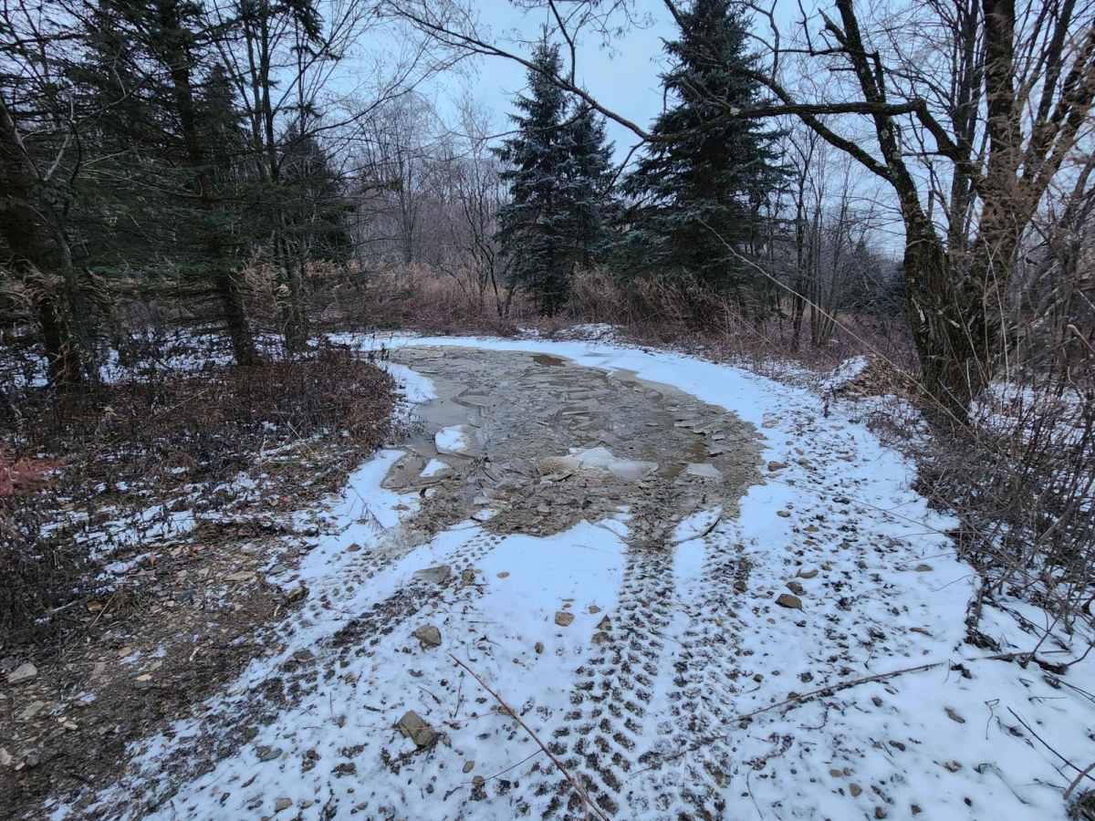 Flat Rock - Blue - Rock Run Recreation Area photo 4
