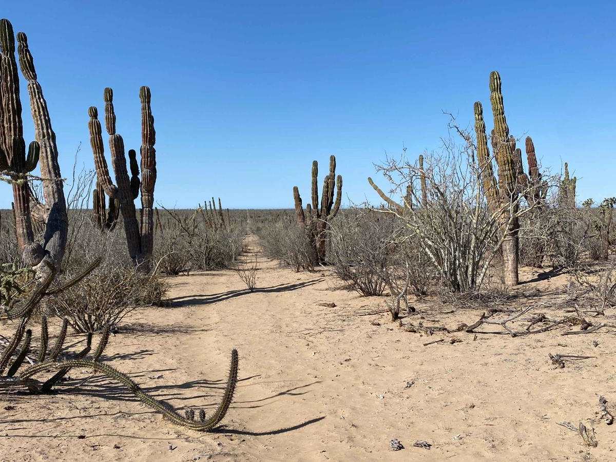 Eco Loop trail photo