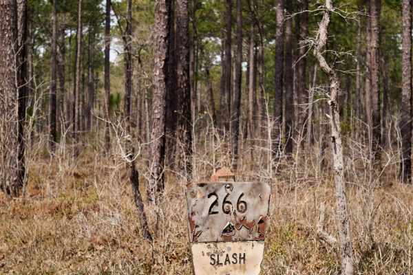 Slash Road - FSR226