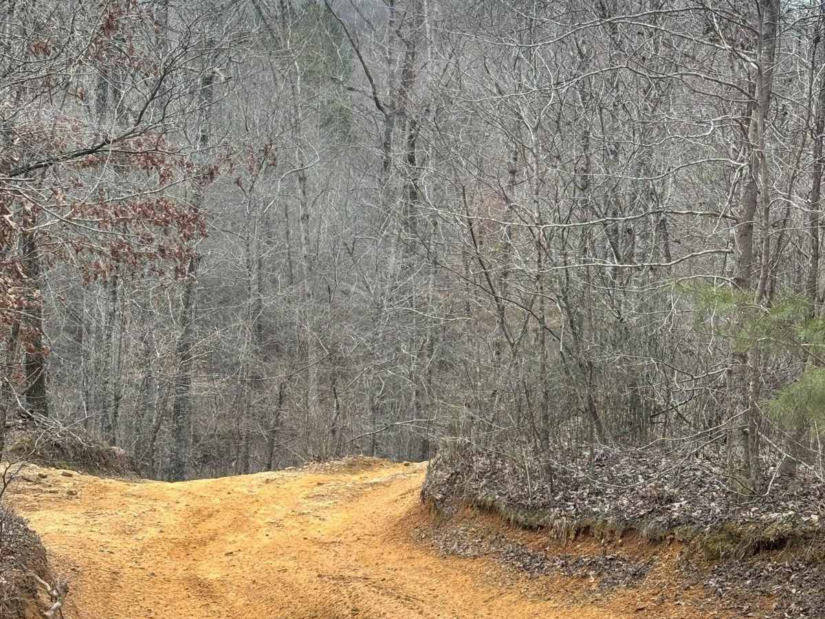 406 trail photo