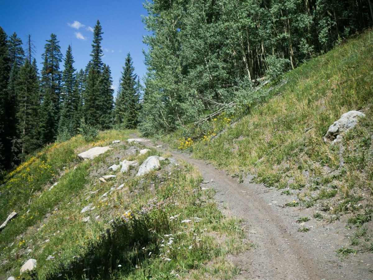 West Mancos Trail photo 3