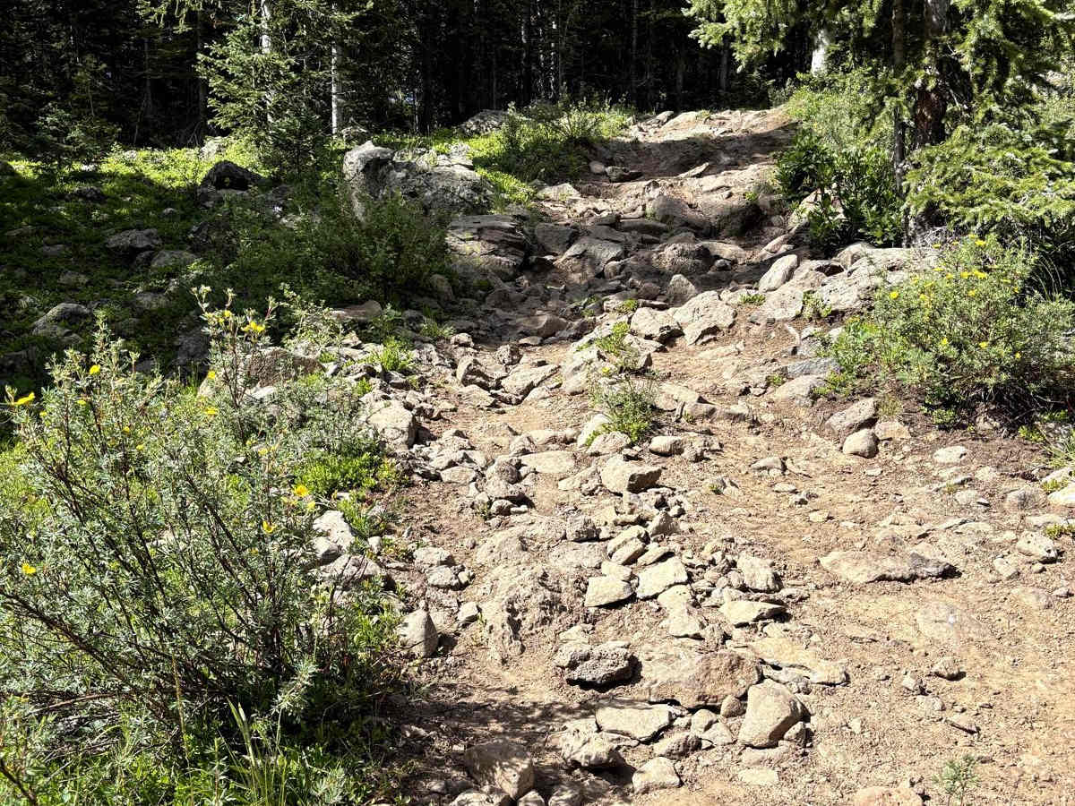 Greenwood Trail photo 6