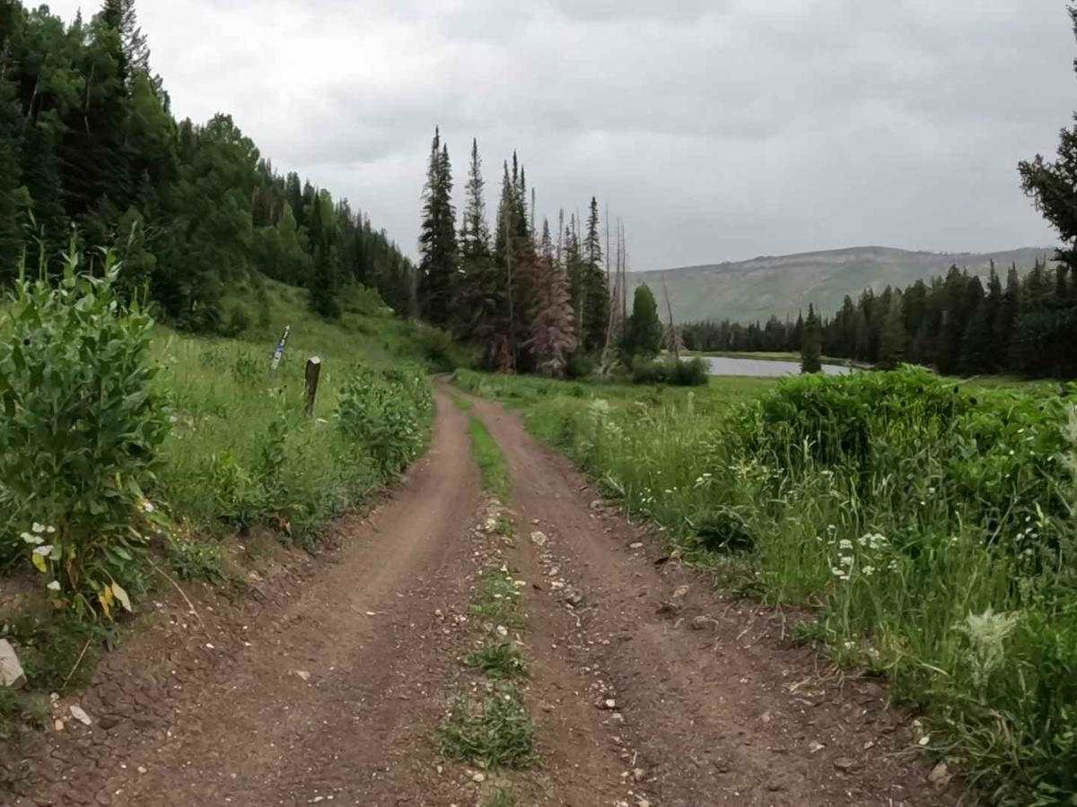Cove Lake photo 4