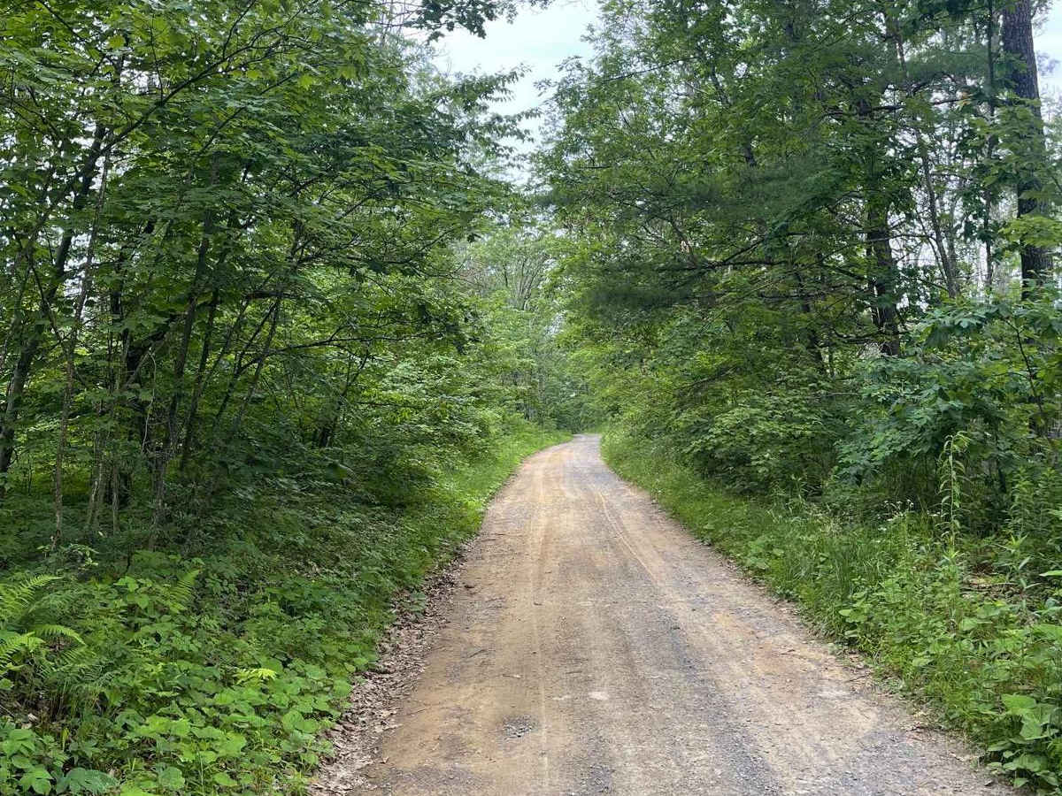 Shaw Mountain Road photo 5